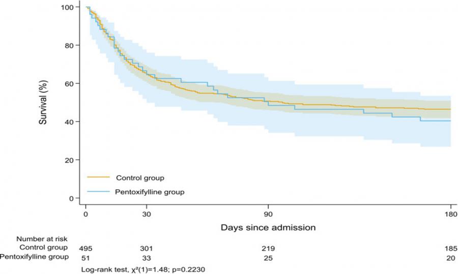 Pentoxifylline Fails to Improve Survival in Alcohol-Associated Hepatitis with Kidney Injury