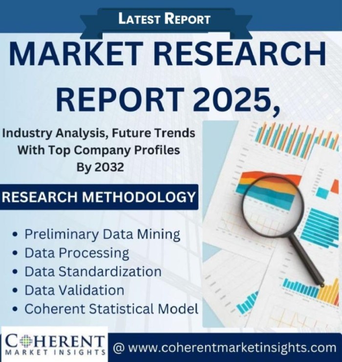India Geriatric Care Services Market Projected To Witness Massive Growth, 2025-2032 | Piramal Swasthya, Jeevan Suraksha